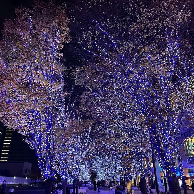 青之洞窟澀谷😍✅日本超夢幻聖誕🎄打卡必到大街😳