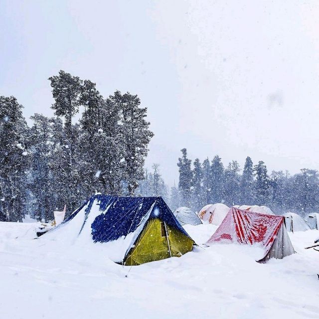 Kedarkantha Trek TOP 