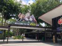 새로운 세계로 모험을 떠나요!! 싱가포르 동물원