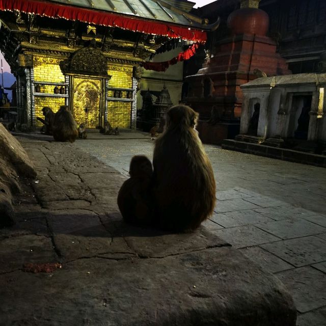 Monkey Temple An amazing Place Nepal