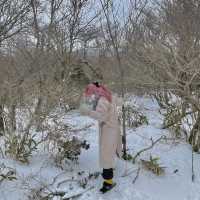 겨울왕국 제주, 한라산 1100고지❄️