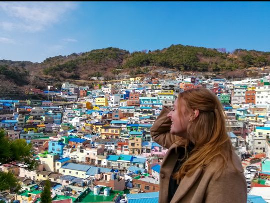 Colourful buildings in Busan