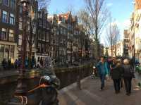 Walking during fall in Amsterdam 