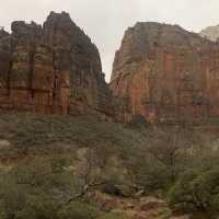 Zion Adventure 