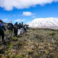 Climb Mount Kilimanjaro Via Rongai Route