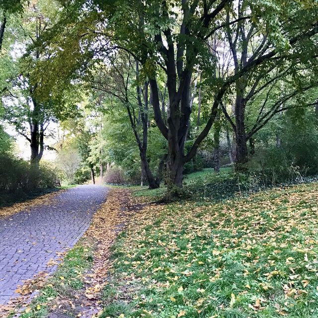 The people’s park of Friedrichshain