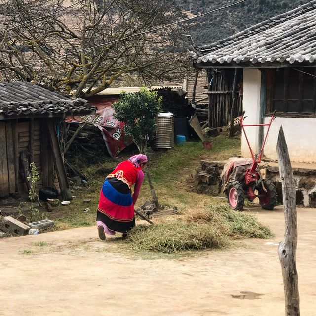 대중교통이 없어 두시간씩 도보로 학교를 다니던 아이.. 그리고 여행.