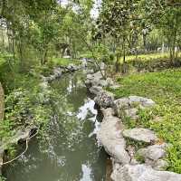 Nature stroll of Ningbo