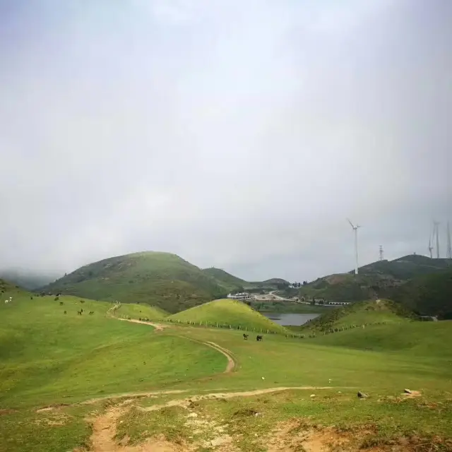 郴州仰天湖大草原：南方高山草原