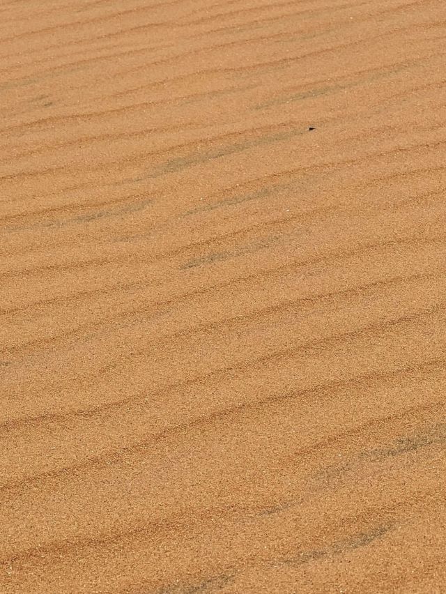 Red Sand Dunes - Mui Ne, Vietnam