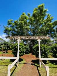 Oahu Green World Coffee Farm