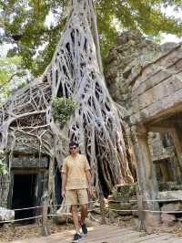 Stunning Angkor Wat💛