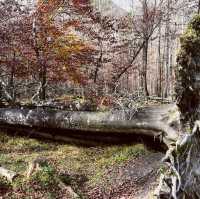 Autumn-Trip to Königssee in Bavaria