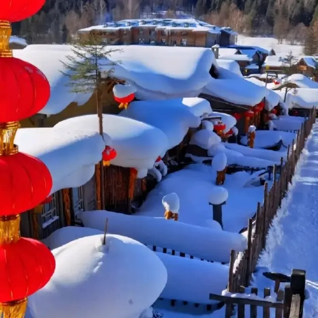 去黑龍江雪鄉看玩雪！