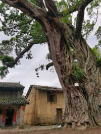 Ancient Village Cultural Tour: Shixing Zhouqian Ancient Village in Shaoguan