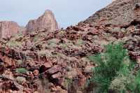 American Grand Canyon Skywalk Travelogue