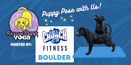Rescue Puppy Yoga - Crunch Fitness Boulder | Crunch Fitness - Boulder