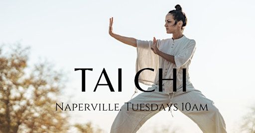 Tai Chi for Better Balance and Health | ILLINOIS SHAOLIN KUNG FU ACADEMY