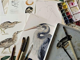 Introduction to Birds in Watercolour at Cuckmere Haven | Seven Sisters Country Park - Visitor Centre