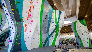 Let's Climb! | First Ascent Arlington Heights