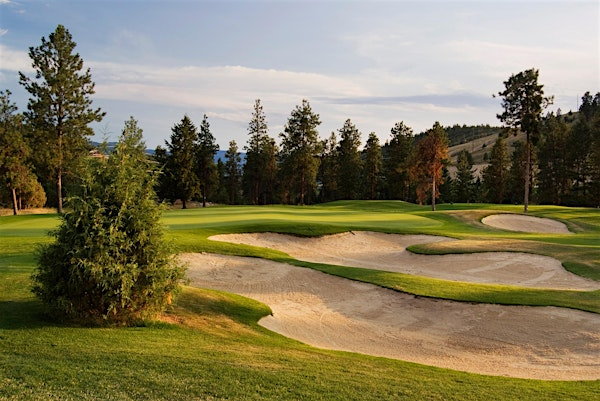 Motor Werke Tees & Turbos | Black Mountain Golf Club