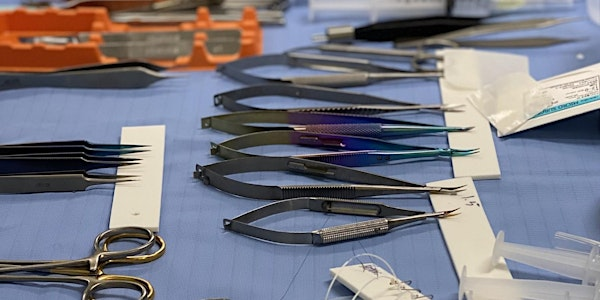 Imperial Cadaveric Flap Dissection and Microsurgery Course | The Griffin Institute