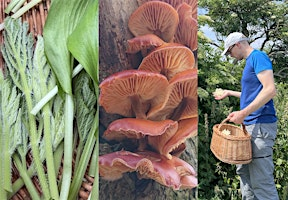 Full-Day Foraging Course, Northallerton | Avenue Farm
