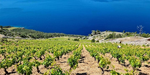 VINcabulary : Exploring Eastern Europe | Vessel Liquor