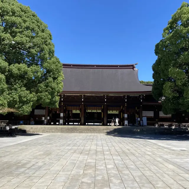 【東京】明治神宮に行ってきました！