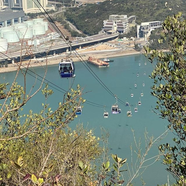 昂坪棧道腳力大挑戰