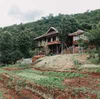Mori Nature Farm โมริ เนเชอรัลฟาร์ม 