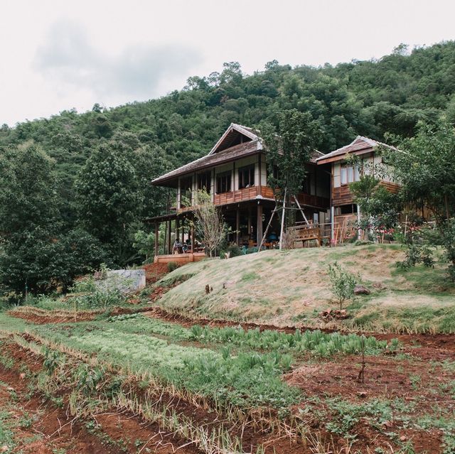 Mori Nature Farm โมริ เนเชอรัลฟาร์ม 