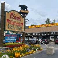 Clark’s Bears