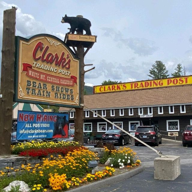 Clark’s Bears