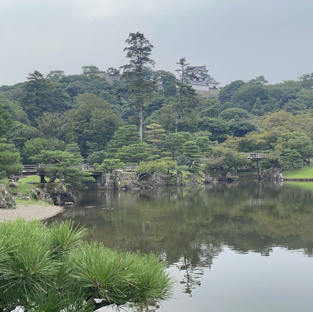 一日で楽しめる彦根の旅