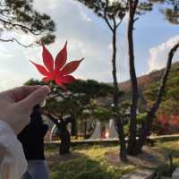 화담숲에서 자연을 느껴요