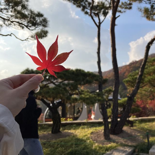 화담숲에서 자연을 느껴요