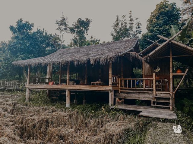 Check in Farmstay Chiangrai 🍃
