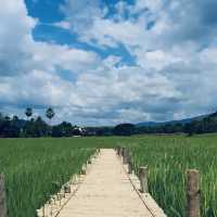 สะพานทุ่งนาแห่งร่องเขานครชุม