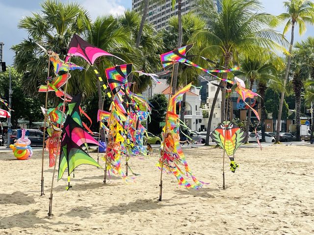 ชายหาดพัทยาตอนนี้เป็นหาดว่าวไปแล้ว 