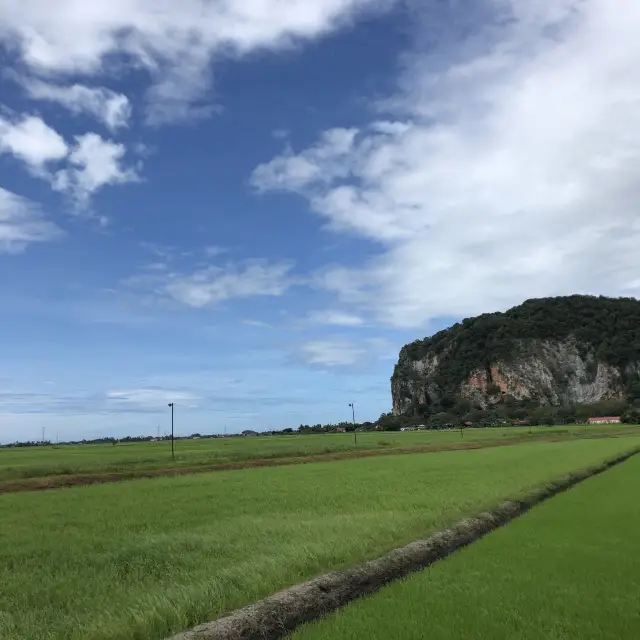 Greenery View