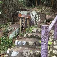 柏架山⛰️行山