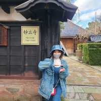 からくり満載の忍者屋敷【妙立寺】✨