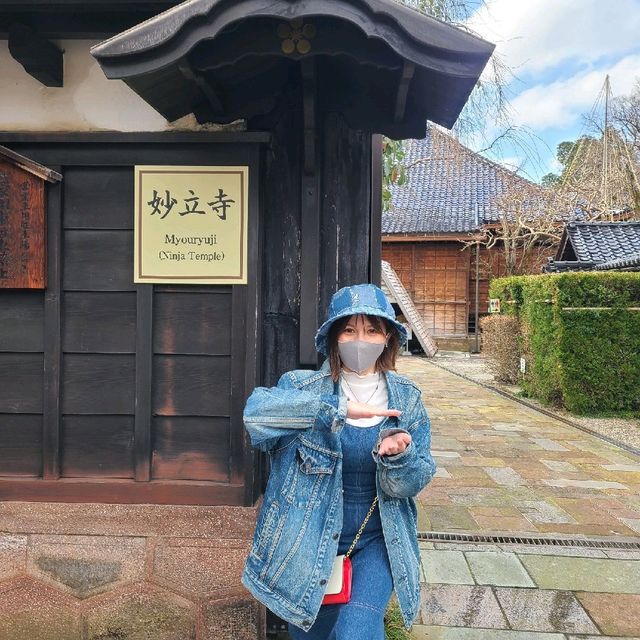 からくり満載の忍者屋敷【妙立寺】✨
