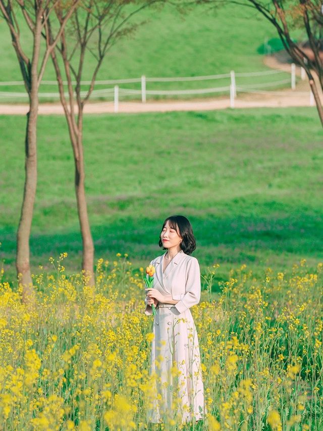 인생샷 찍기 좋은 당진 아그로랜드💚