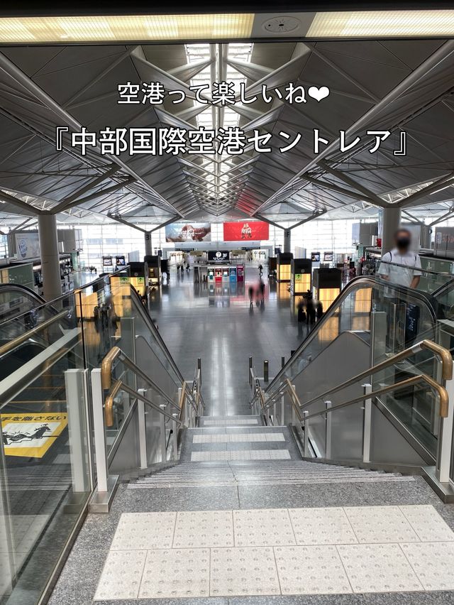 【名古屋】名古屋メシの宝庫😍！中部国際空港