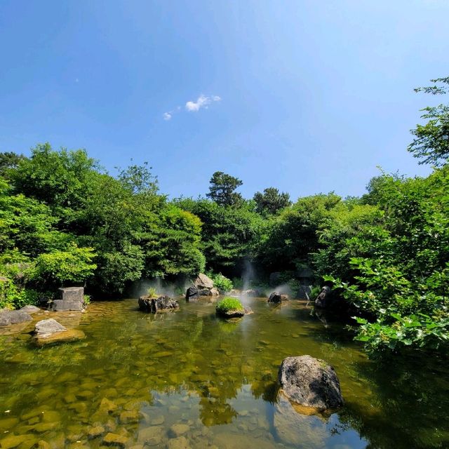 인생샷 찍기 좋은 "용산공원부분개방부지"