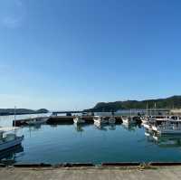 【和歌山県】新鮮なお魚が食べられる加太温泉で鱧ランチを満喫！