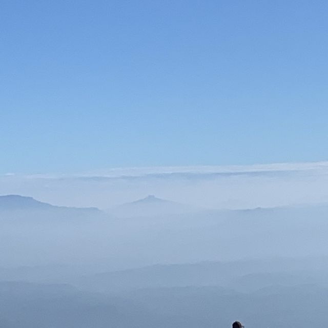 ไร่ริมผา ภูทับเบิก 🏔