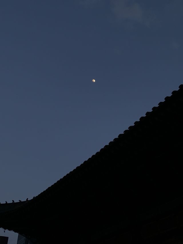 🌃밤에 더욱 빛나는 도심속 낭만 여행, 단돈 1000원에 즐기는 방법✨